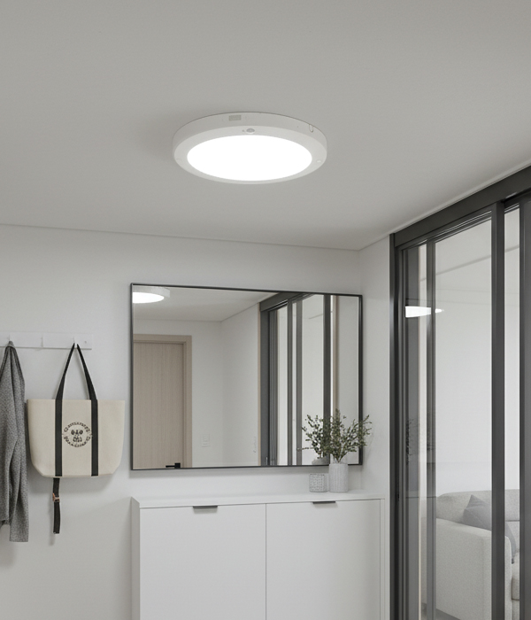엣지 250MM 직부등, LED24W 현관센서등